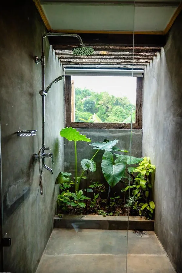Banana Bunks Kandy Hostel